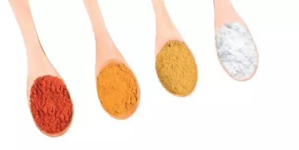 真空稀相氣力輸送可以輸送的固體物料主要有哪些？